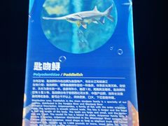 -重庆欢乐海底世界