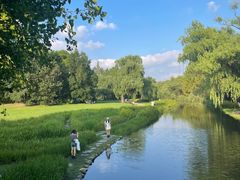 -上海共青森林公园