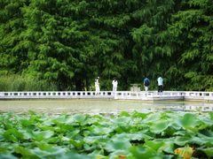 -白塘生态植物园