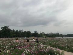 -海珠湖公园