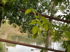 -良渚古城遗址公园