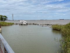 -上海吴淞炮台湾国家湿地公园