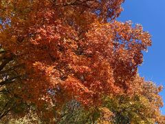 -北京西山国家森林公园