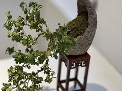 -汇龙潭