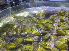 -聚盛源蒸汽海鲜火锅烤肉自助(巨川金海岸购物广场店)