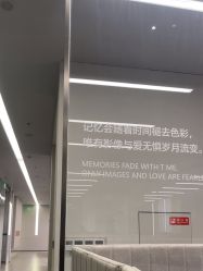 -桔子摄影
