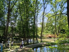 -桤木河湿地公园