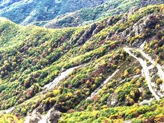 -白草畔自然风景区