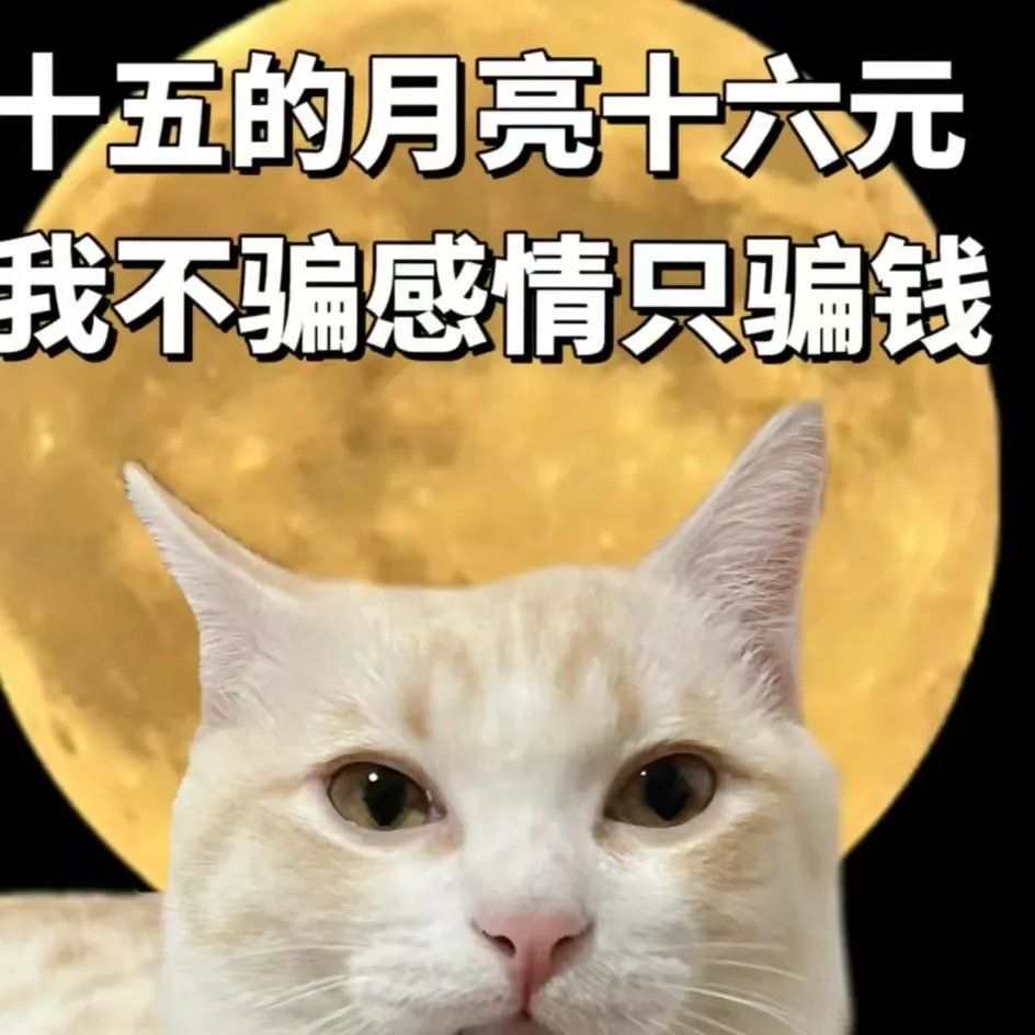 你也想要财富自由吗