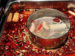 -鼎膳常火锅(华阳店)