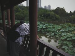 -龙头寺公园
