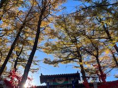 -崂山巨峰游览区