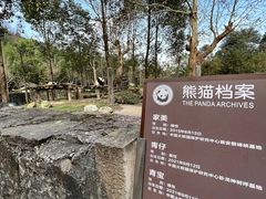 -都江堰中华大熊猫苑