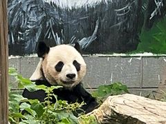 -南昌动物园