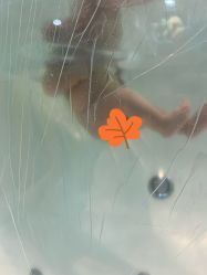 -乐悠游儿童游泳馆(宝安妇幼店)