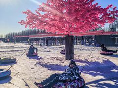 -丁香湖丁香小镇Citypark滑雪公园戏雪嘉年华