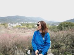 -香雪海