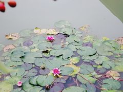 -宝岩生态观光园