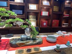 -古今茶语·峨眉山有机茶体验馆