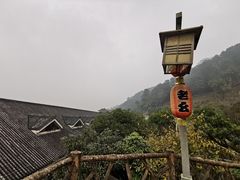 -老幺泉水鸡