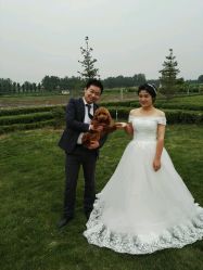 点击看大图 -完美新娘婚纱摄影