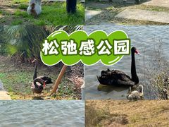 -琅岐红光湖公园