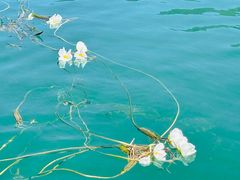 -丽江泸沽湖景区