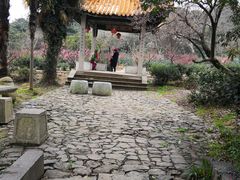 -雨花胜境