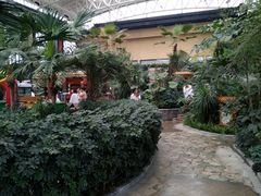 -郑州银基黄帝宫御温泉