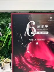 -B-BEAUTY童颜皮肤管理中心