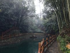 -十八棵（老龙井）御茶园(老龙井店)