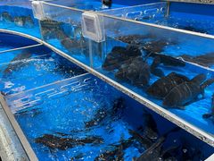 -盒马鲜生(富田新天地店)