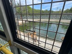 -横道河子东北虎林园