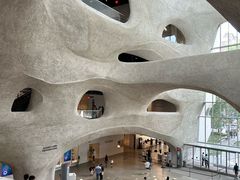 -美国自然历史博物馆