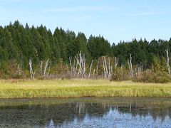 -塞罕坝国家级自然保护区