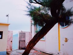 -成记士多(石澳道)