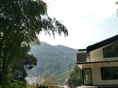 -龙井村