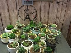 -鱼醉无骨鱼·中山脆肉鲩(荔湾路店)