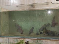 -海盗餐厅