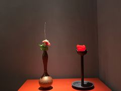 -觀芷隐轩