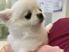 -宠颐生嘉德动物医院
