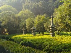 -法云安缦酒店