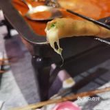酸爽有你，我有探鱼[礼花]