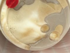-Manner Coffee(光大安石中心)