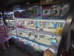 -花鸟鱼虫鲜花绿植市场(玉泉路店)
