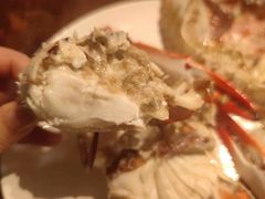 -77号渔船·蒸海鲜青岛菜(积米崖店)