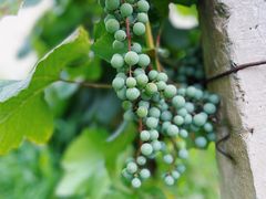 -安德鲁户外烧烤帐篷营地(马泉营店)