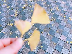 -美兰湖景区
