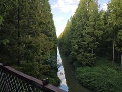 -黄海国家森林公园