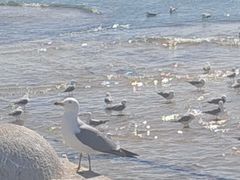 -星海广场